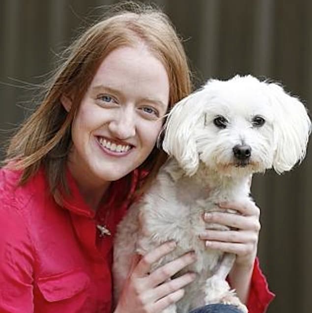 Australian Vets Use Vodka To Save Adorable Maltese Terrier’s Life