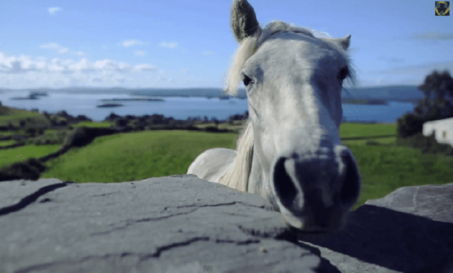 Ireland Inspires: This Video Will Make You Feel Proud To Be Irish