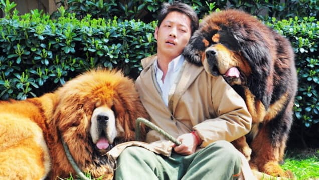 Pic Of The Day: Man Spends $2 Million On This Puppy