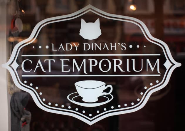 The Most Perfect Place On Earth Is Waiting For You With Tea, Scones And Kittens