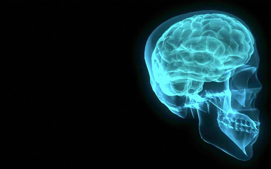 YIKES! – Scientists Have Found That Our Brains Start Getting Old During Our Mid 20s