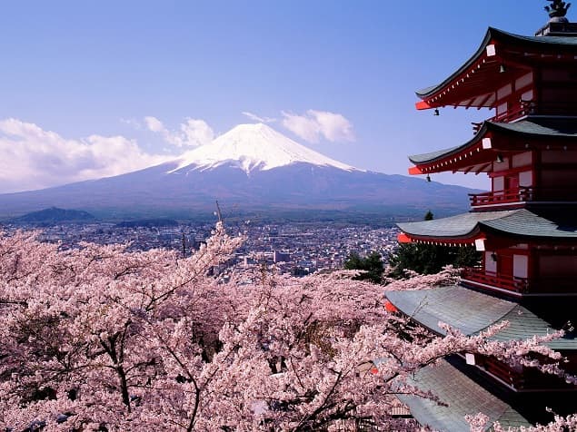 Japan Is Having The Kind Of Spring That Everyone Wants