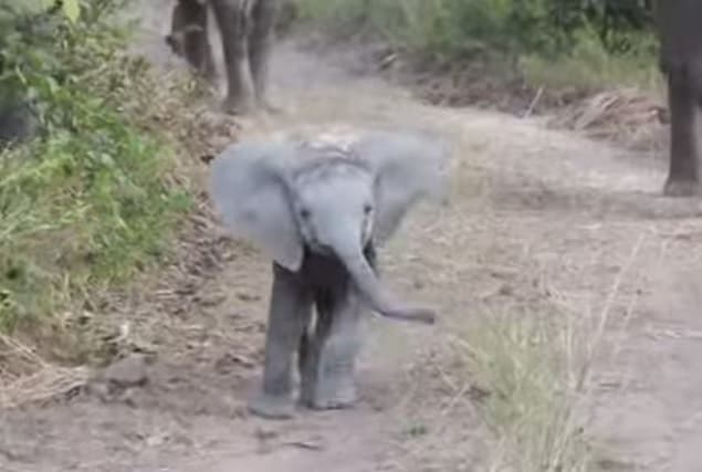 That’s Gas: The Funniest Video We’ve Seen This Week