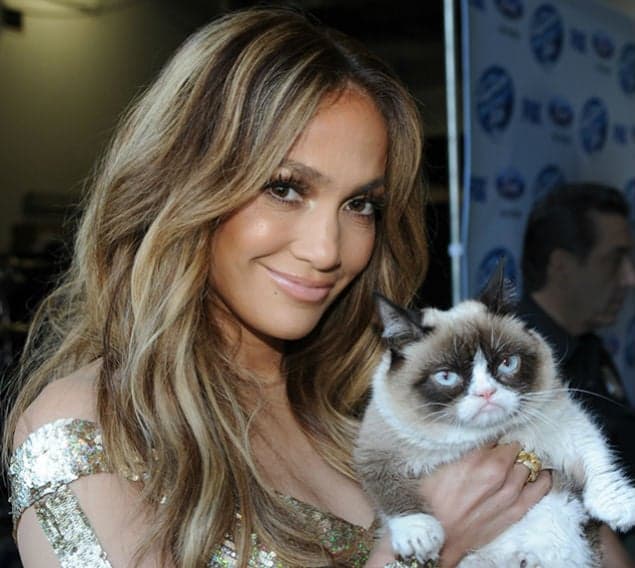 Why The Long Face? You Won’t Believe How Much Grumpy Cat Made Her Owner Last Year…