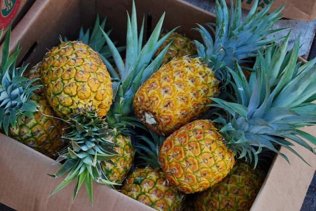 Recipe: Healthy Pineapple Juice Blitz