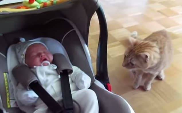 That’s Gas: The Funniest Video We’ve Seen This Week