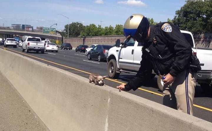 Pic Of The Day: Proof That Superheroes Do Exist Pic Of The Day: Proof That Superheroes Do Exist