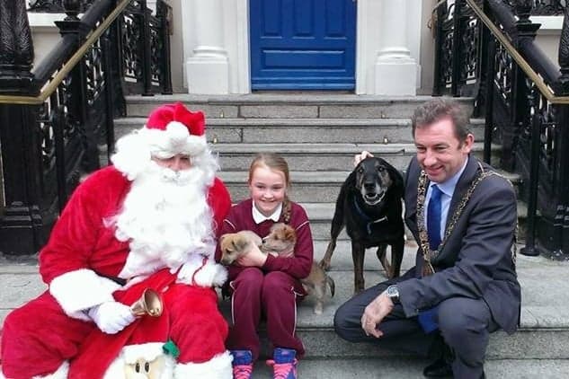 DSPCA Hero Dog Who Helped With Teaching Responsible Animal Care Passes Away After 12 Years On The Job