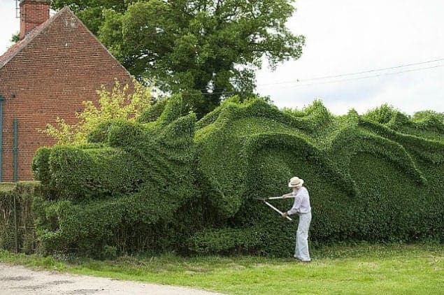 IN PICS: Gardener Spends 10 Years Cultivating THIS Hedge
