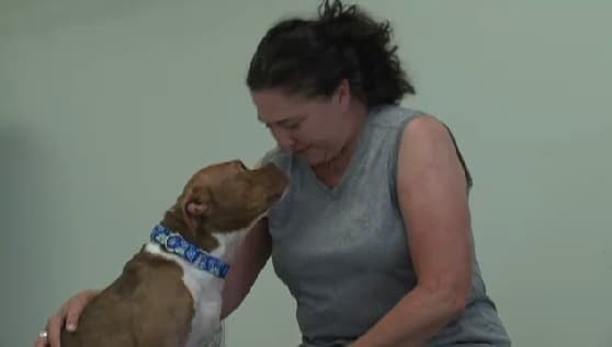 VIDEO: Meet Rosie, A Dog Who Has Mastered The Art Of Sign Language
