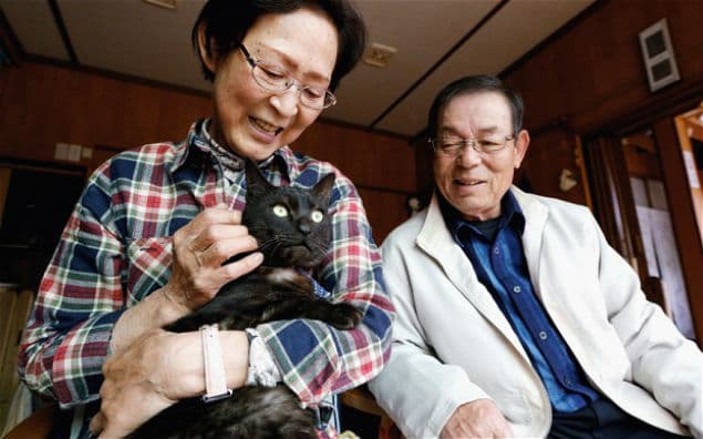 PICTURE: Miracle Cat Reappears Three Years After Tsunami – Reunited With Owners