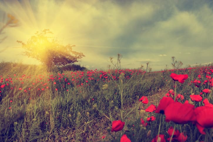 “Everything Has Its Wonders” – 12 Life Lessons from One Incredible Woman
