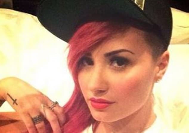 Demi Lovato Remembers Father On One Year Anniversary Of His Death