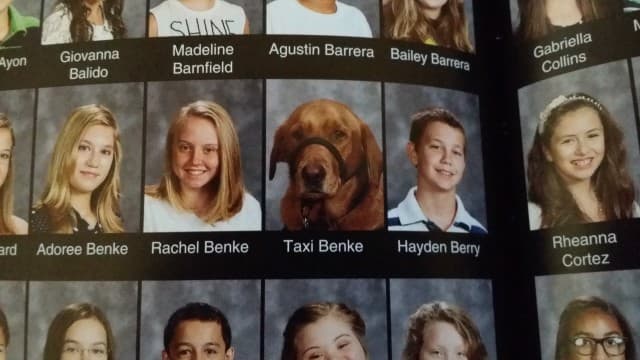 Loyal Service Dog Gets School Yearbook Photo Alongside His Human