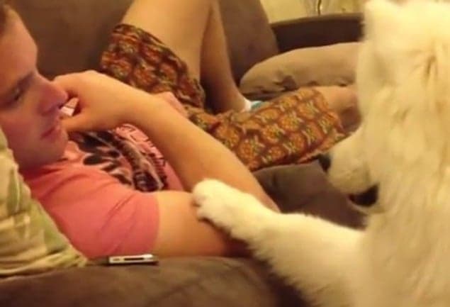 VIDEO: This Has To Be The Cutest Dog EVER