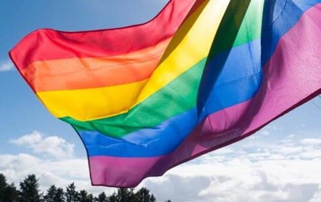 Referendum On Marriage Equality To Be Held Next Spring