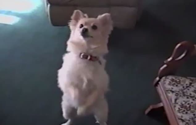That’s Gas: The Funniest Video We’ve Seen This Week