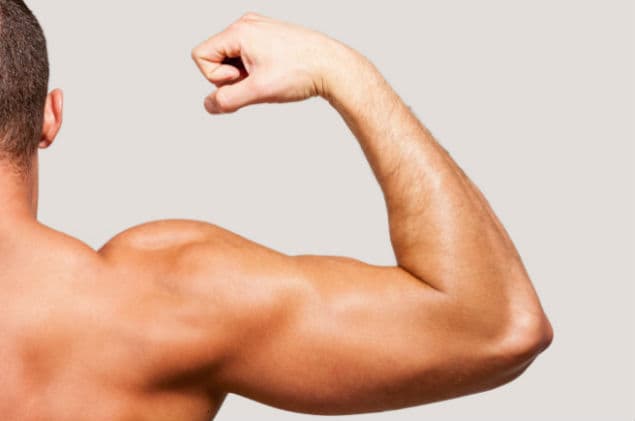 Two Tickets To The Gun Show: Police Search Apartment For Guns, Man Proceeds To Flex His Biceps