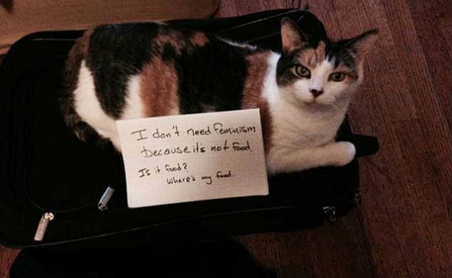 PICS: These Cats Don’t Care About Feminism And They’re Not Afraid To Say So
