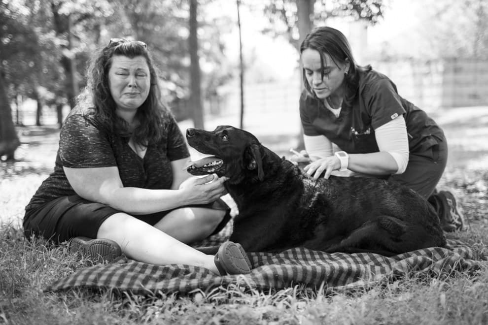 In Pictures: The Story Of This Black Labrador’s Last Day On Earth Will Break You