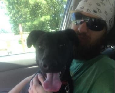 Puppy Trapped In Kennel During Apartment Fire Found Safe Days Later