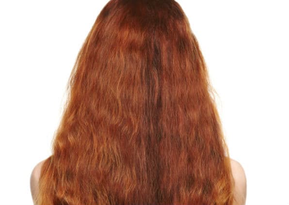 Attention All Red Heads: Did You Know You’re An Endangered Species?