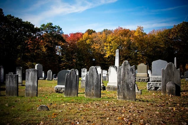 “Waving His Arms And Going ‘Woooooooh’” – Man Fined For Pretending To Be A Ghost
