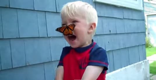 VIDEO: This Little Boy Is Too Excited After Making A New Friend!