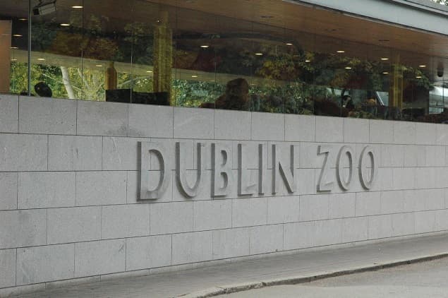 This Weekend You… Should Go To The Zoo