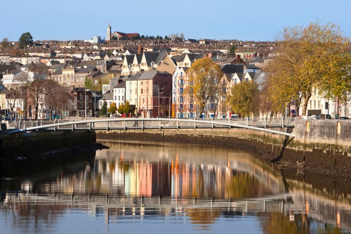 This Spider Is A Good Enough Reason to Separate Cork from the Rest of the Country