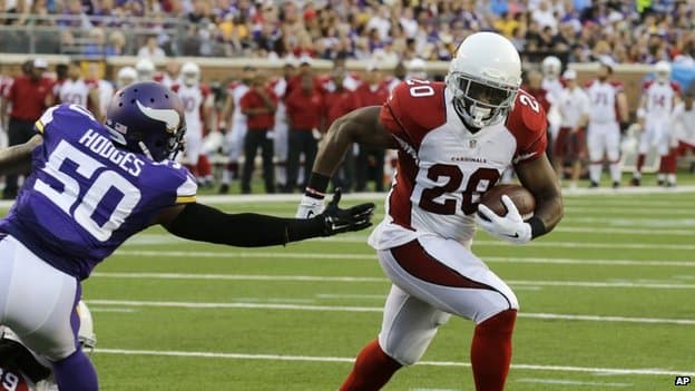 American Football League Rocked As Yet Another Player Is Suspected of Domestic Violence