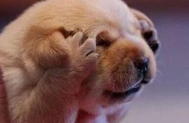 11 Things Irish People Can’t Cope With