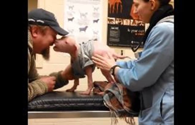 VIDEO: Puppy Reunited With Man Who Rescued Him (It Will Melt Your Heart) VIDEO: Puppy Reunited With Man Who Rescued Him (It Will Melt Your Heart)