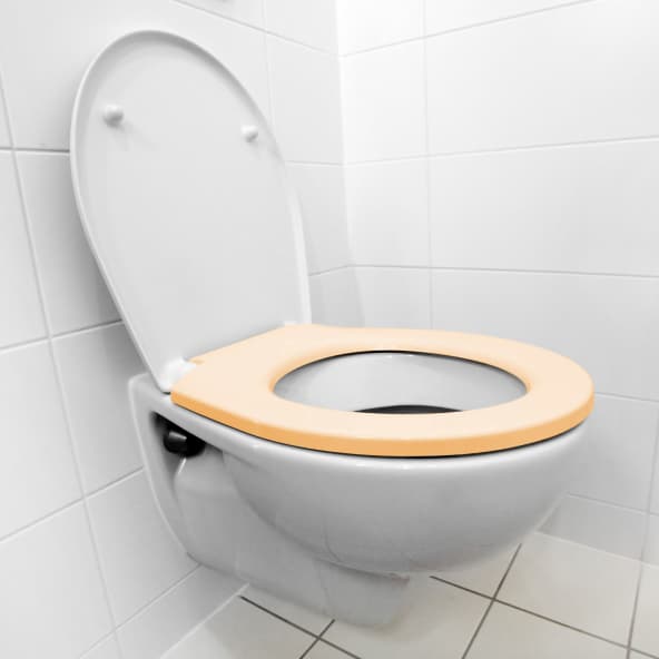 Dublin Woman Gets €28,000 After Falling off Toilet