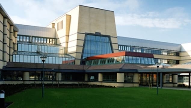 Irish Man Left In Intensive Care After Spider Bite