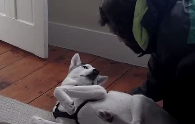That’s Gas: The Funniest Video We’ve Seen This Week