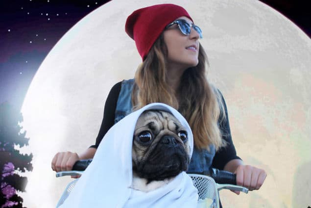 PICS: Doug The Pug Is Making Quite The Statement With His Halloween Costumes