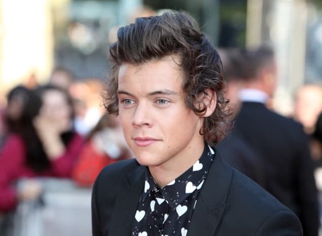 Obsessed One Direction Fans Create Shrine To Harry Styles’ Vomit Obsessed One Direction Fans Create Shrine To Harry Styles’ Vomit