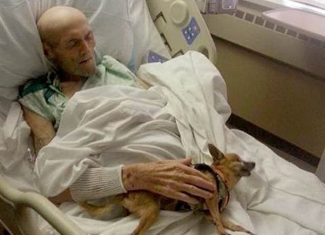 Man’s Best Friend: Sick Man Makes Recovery After Being Reunited With Dog Man’s Best Friend: Sick Man Makes Recovery After Being Reunited With Dog