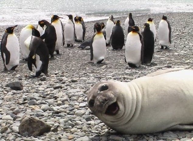 What Do the Words Photobomb, Bridezilla and Hangry Have in Common? They Are All Some of 2014’s Top Words!