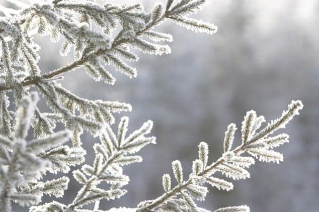 Met Éireann Issues Snow-Ice Warning for Ireland