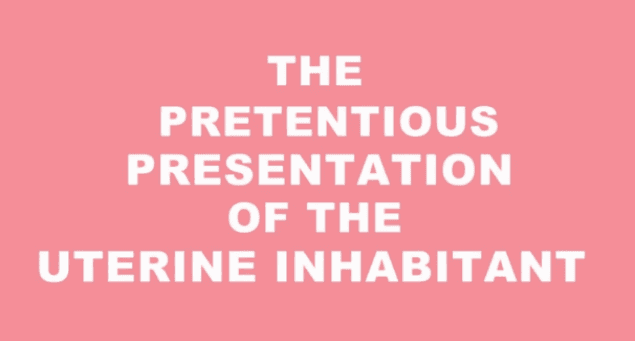 WATCH: Couple Reveal Their Pregnancy With A Little Help From Wes Anderson