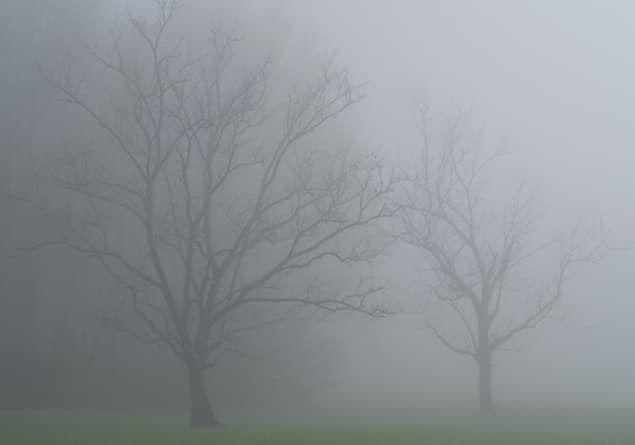 Twitter Reacts To Heavy Fog as Flight Disruptions Continue