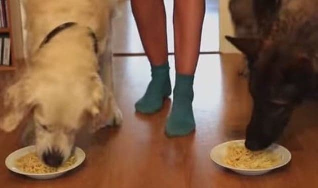 That’s Gas: The Funniest Video We’ve Seen This Week That’s Gas: The Funniest Video We’ve Seen This Week