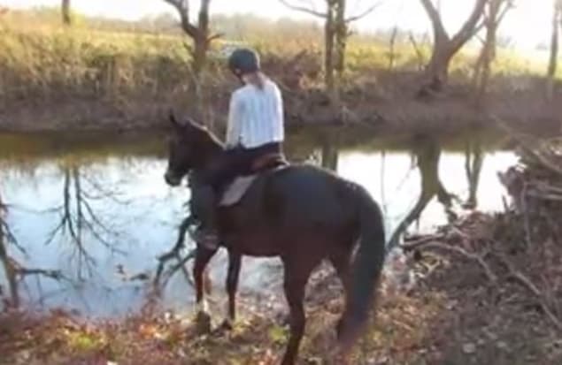 That’s Gas: The Funniest Video We’ve Seen This Week