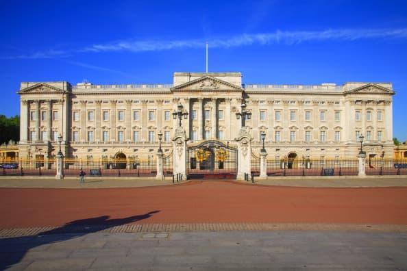 Magic Mushrooms Found in Buckingham Palace Gardens