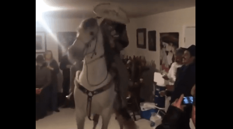 Well Horse: This Video Is Probably One Of The Most Bizarre The Internet Has Ever Seen