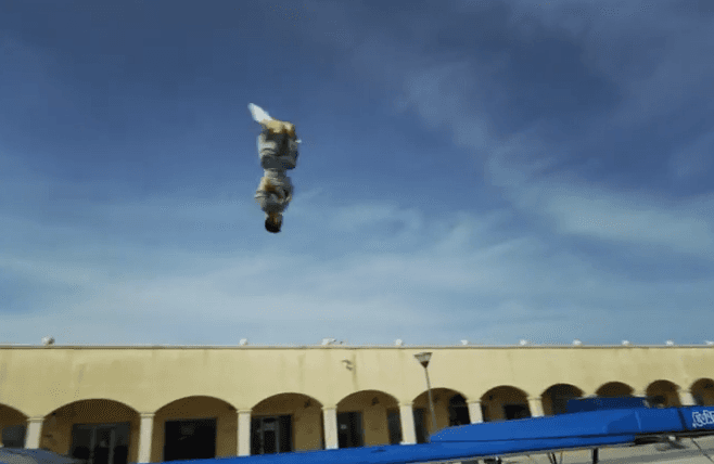 WATCH: What Happens When Two Men Meet One Trampoline? Some Awe-Inspiring Acrobatics That’s What