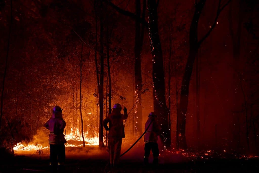Australia declares state of emergency for New South Wales as bushfires rage on