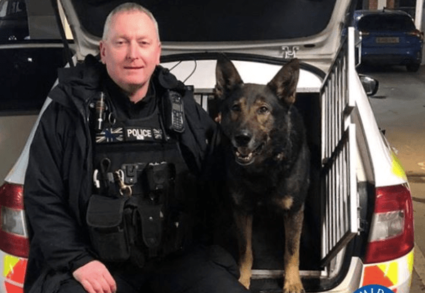 Good Boy police dog sniffs out man’s lost wedding ring on roadside